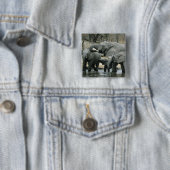 Afrikanischer Elefant (Loxodonta africana), trinke Button (Beispiel)