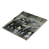 Afrikanischer Elefant (Loxodonta africana), trinke Fliese (Seite)