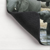 Afrikanischer Elefant (Loxodonta africana), trinke Mousepad (Ecke)