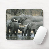 Afrikanischer Elefant (Loxodonta africana), trinke Mousepad (Mit Mouse)