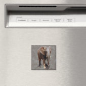 Afrikanischer Elefant Magnet (In Situ (Geschirrspüler))