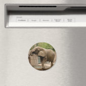 Afrikanischer Elefant Magnet (In Situ (Geschirrspüler))