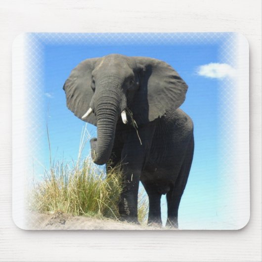 Afrikanischer Elefant-Mausunterlage Mousepad (Vorne)