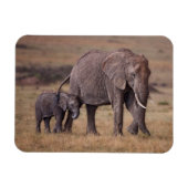 Afrikanischer Elefant mit Baby Magnet (Horizontal)