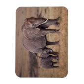 Afrikanischer Elefant mit Baby Magnet (Vertikal)
