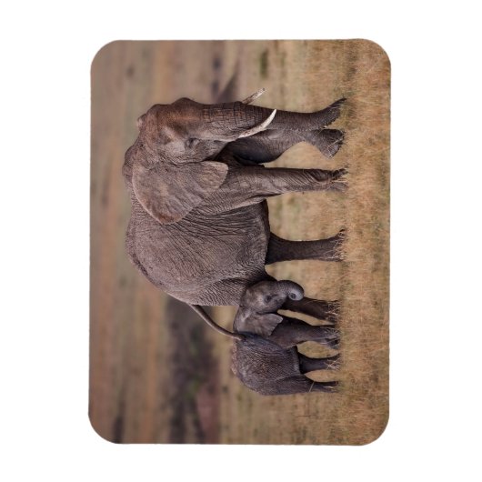 Afrikanischer Elefant mit Baby Magnet (Vertikal)