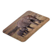 Afrikanischer Elefant mit Baby Magnet (Linke Seite)