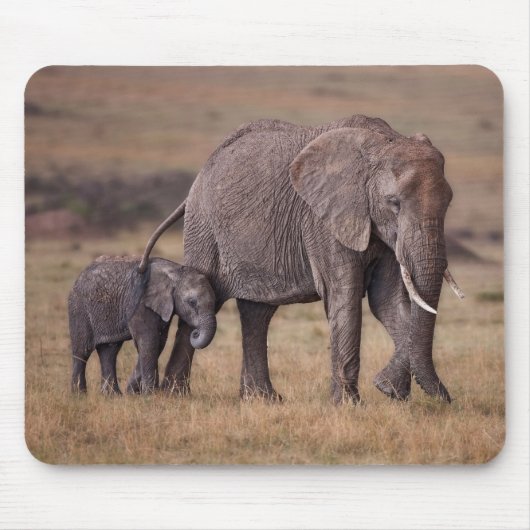 Afrikanischer Elefant mit Baby Mousepad (Vorne)
