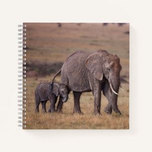 Afrikanischer Elefant mit Baby Notizblock