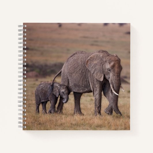 Afrikanischer Elefant mit Baby Notizblock (Vorderseite)