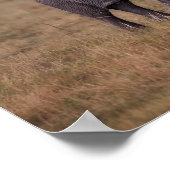 Afrikanischer Elefant mit Baby Poster (Ecke)