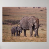 Afrikanischer Elefant mit Baby Poster (Vorne)