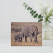Afrikanischer Elefant mit Baby Postkarte (Stehend Vorderseite)