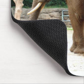 Afrikanischer Elefant Mousepad (Ecke)