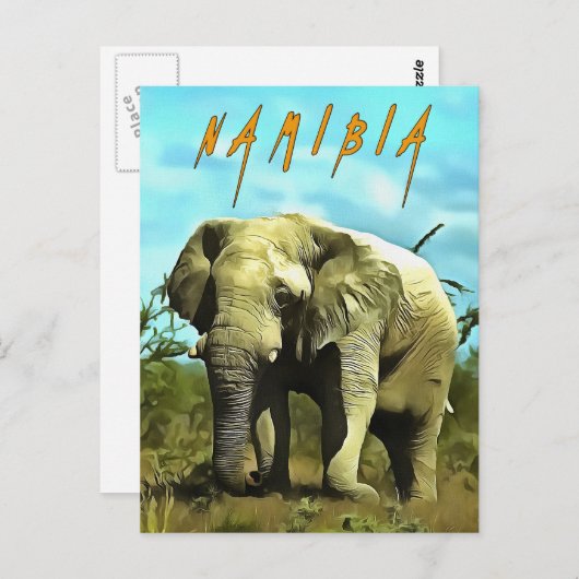 Afrikanischer Elefant, Namibia Postkarte (Vorne/Hinten)
