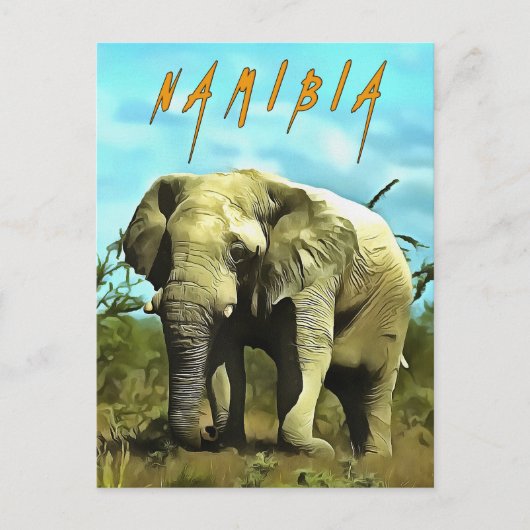 Afrikanischer Elefant, Namibia Postkarte (Vorderseite)