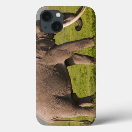 Afrikanischer Elefant, Ngorongoro Case-Mate iPhone Hülle (Rückseite)