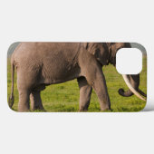 Afrikanischer Elefant, Ngorongoro Case-Mate iPhone Hülle (Rückseite (Horizontal))