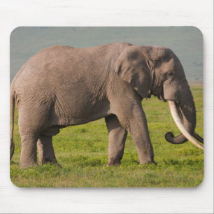 Afrikanischer Elefant, Ngorongoro-Schutzgebiet Mousepad