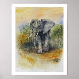 Afrikanischer Elefant Poster