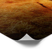 Afrikanischer Elefant Poster (Ecke)