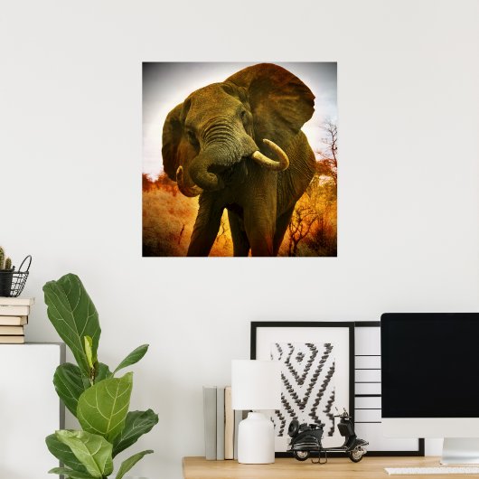 Afrikanischer Elefant Poster (Heimbüro)