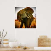 Afrikanischer Elefant Poster (Küche)