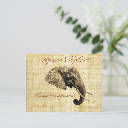 Afrikanischer Elefant Postkarte (Stehend Vorderseite)