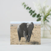 afrikanischer Elefant Postkarte (Stehend Vorderseite)