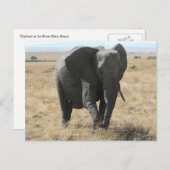 afrikanischer Elefant Postkarte (Vorne/Hinten)