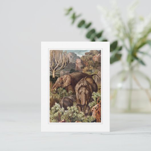 Afrikanischer Elefant Postkarte (Stehend Vorderseite)