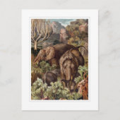 Afrikanischer Elefant Postkarte (Vorderseite)