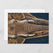 Afrikanischer Elefant Postkarte (Vorne/Hinten)