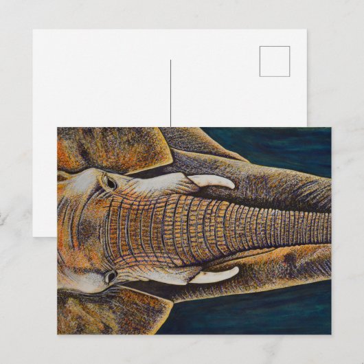 Afrikanischer Elefant Postkarte (Vorne/Hinten)