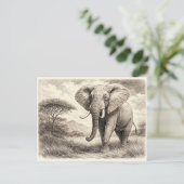 Afrikanischer Elefant. Sammelobjekt Postkarte (Stehend Vorderseite)