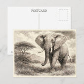 Afrikanischer Elefant. Sammelobjekt Postkarte (Vorne/Hinten)