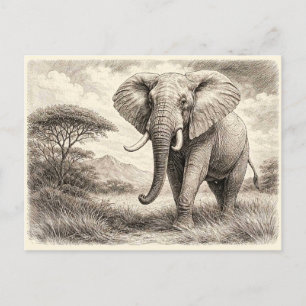 Afrikanischer Elefant. Sammelobjekt  Postkarte