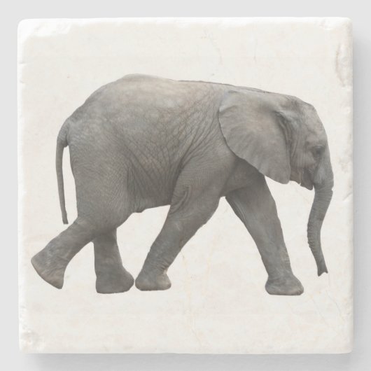 Afrikanischer Elefant Steinuntersetzer (Vorderseite)