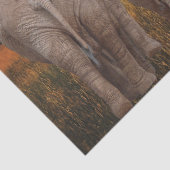 Afrikanischer Elefant Sunset Seidenpapier (Detail)