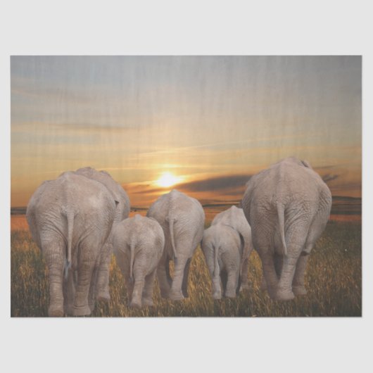 Afrikanischer Elefant Sunset Seidenpapier (Vorderseite)