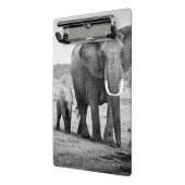 Afrikanischer Elefant u. Kälber | Kenia, Afrika Mini Klemmbrett (Gewinkelt2)