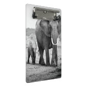 Afrikanischer Elefant u. Kälber | Kenia, Afrika Mini Klemmbrett (Schrägansicht)