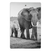 Afrikanischer Elefant u. Kälber | Kenia, Afrika Mini Klemmbrett (Rückseite)