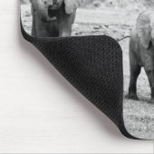 Afrikanischer Elefant u. Kälber | Kenia, Afrika Mousepad (Ecke)