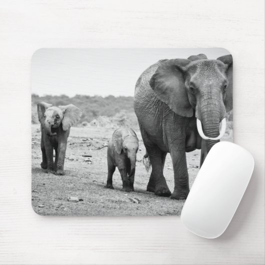 Afrikanischer Elefant u. Kälber | Kenia, Afrika Mousepad (Mit Mouse)