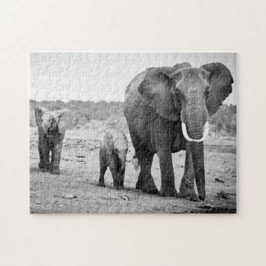 Afrikanischer Elefant u. Kälber | Kenia, Afrika Puzzle (Horizontal)