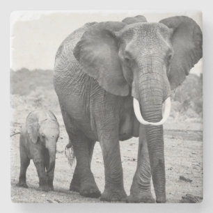 Afrikanischer Elefant u. Kälber Kenia, Afrika Steinuntersetzer