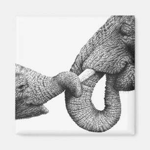 Afrikanischer Elefant-und Baby-Magnet Magnet