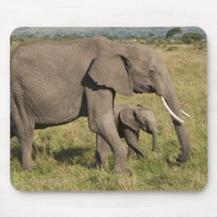 Afrikanischer Elefant und Jungtier (Loxodonta afri Mousepad