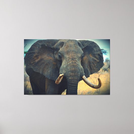 Afrikanischer Elefant Wrapped Canvas Leinwanddruck (Vorderseite)